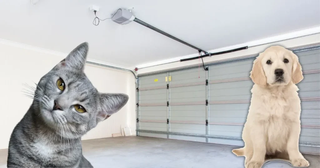 Garage Door Safety for Pets: Protecting Your Furry Friends